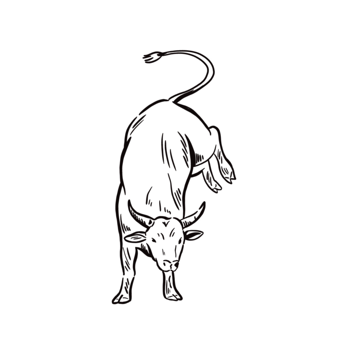 Bull