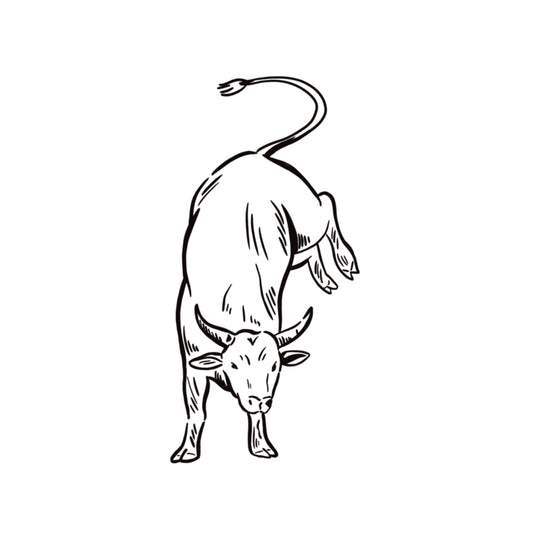 Bull