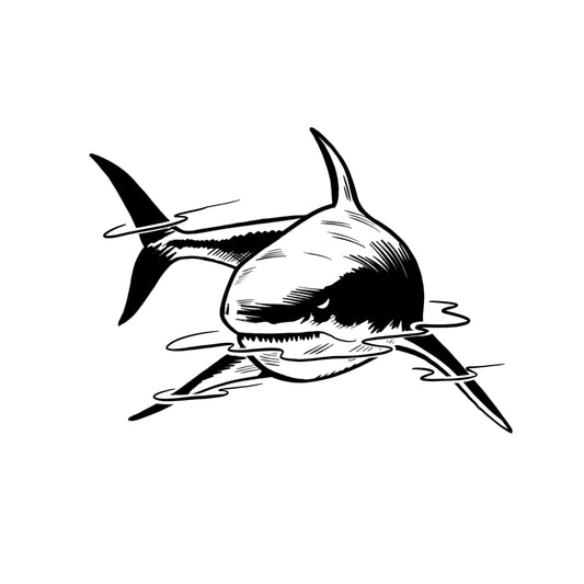 Shark